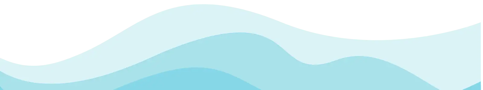 Layer 5